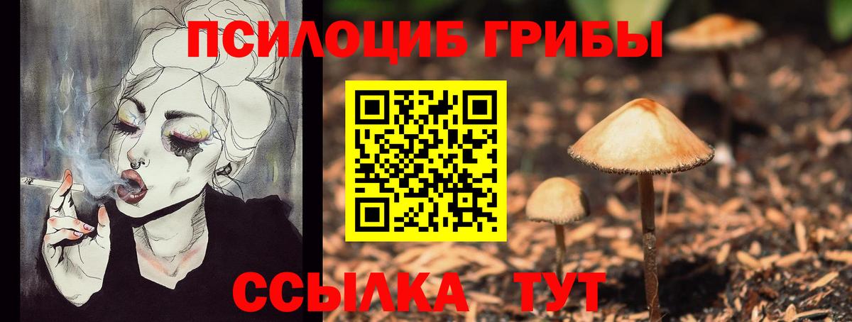 Галлюциногенные грибы Psilocybe Великий Новгород